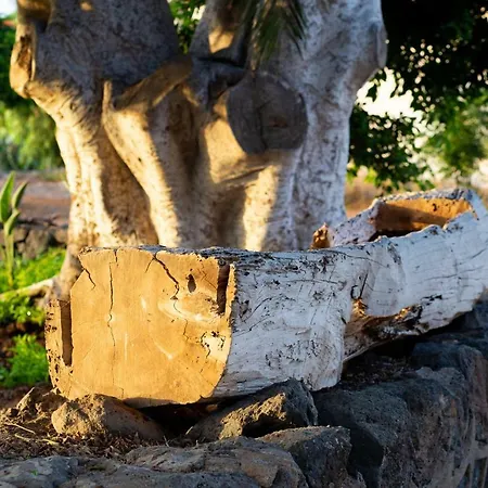 Feriehus Casa Maria - Caserio De Guaza *