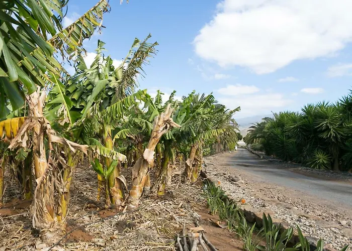 Casa Maria - Caserio De Guaza Feriehus *