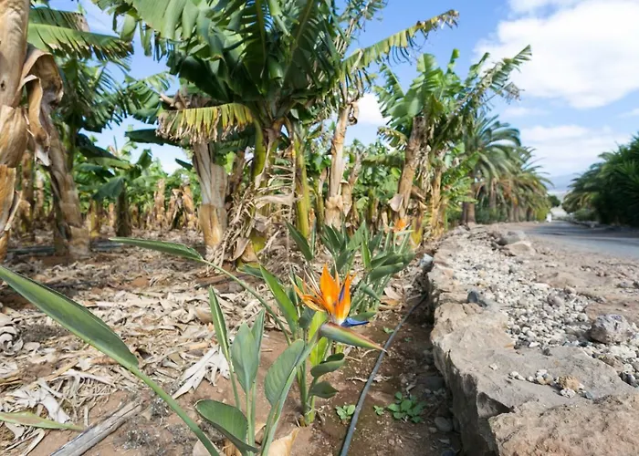 Feriehus Casa Maria - Caserio De Guaza