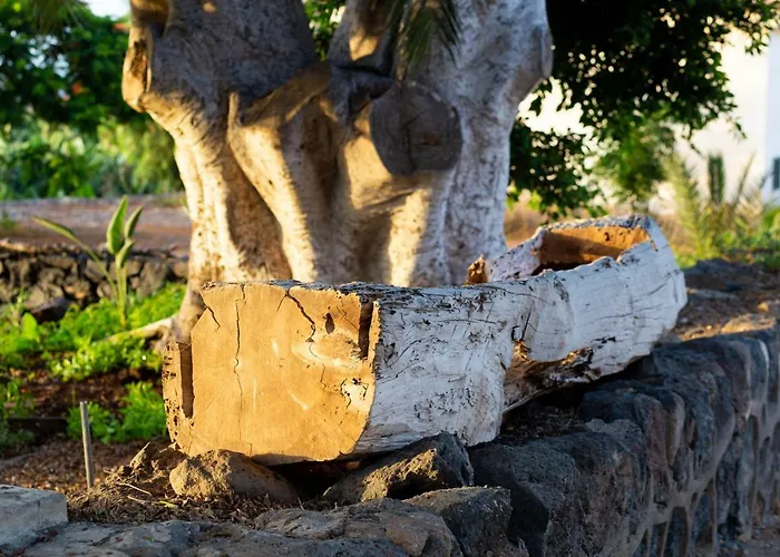 Feriehus Casa Maria - Caserio De Guaza *